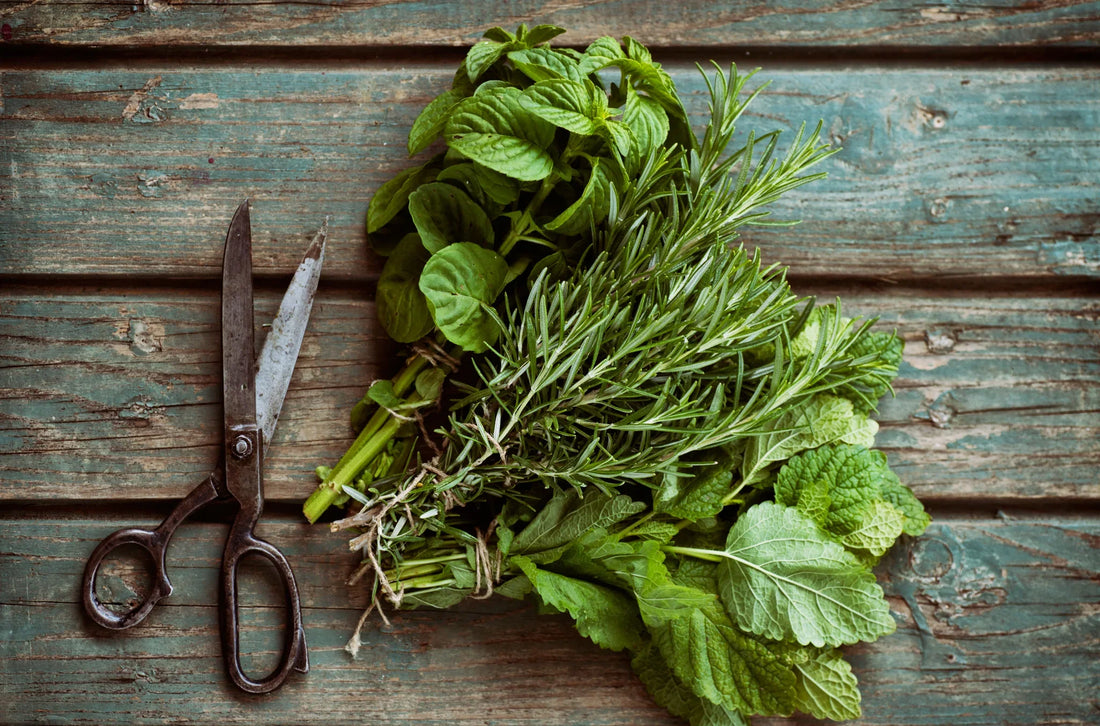 How to Keep Herbs Fresh for Weeks