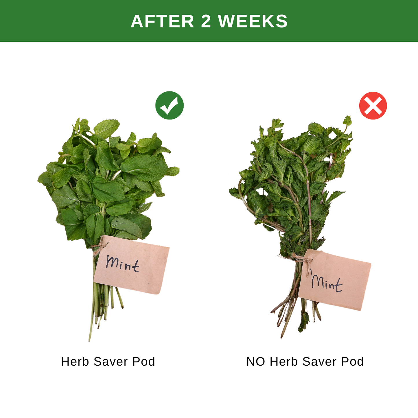 Veggie Lock™ Herb Keeper Pod