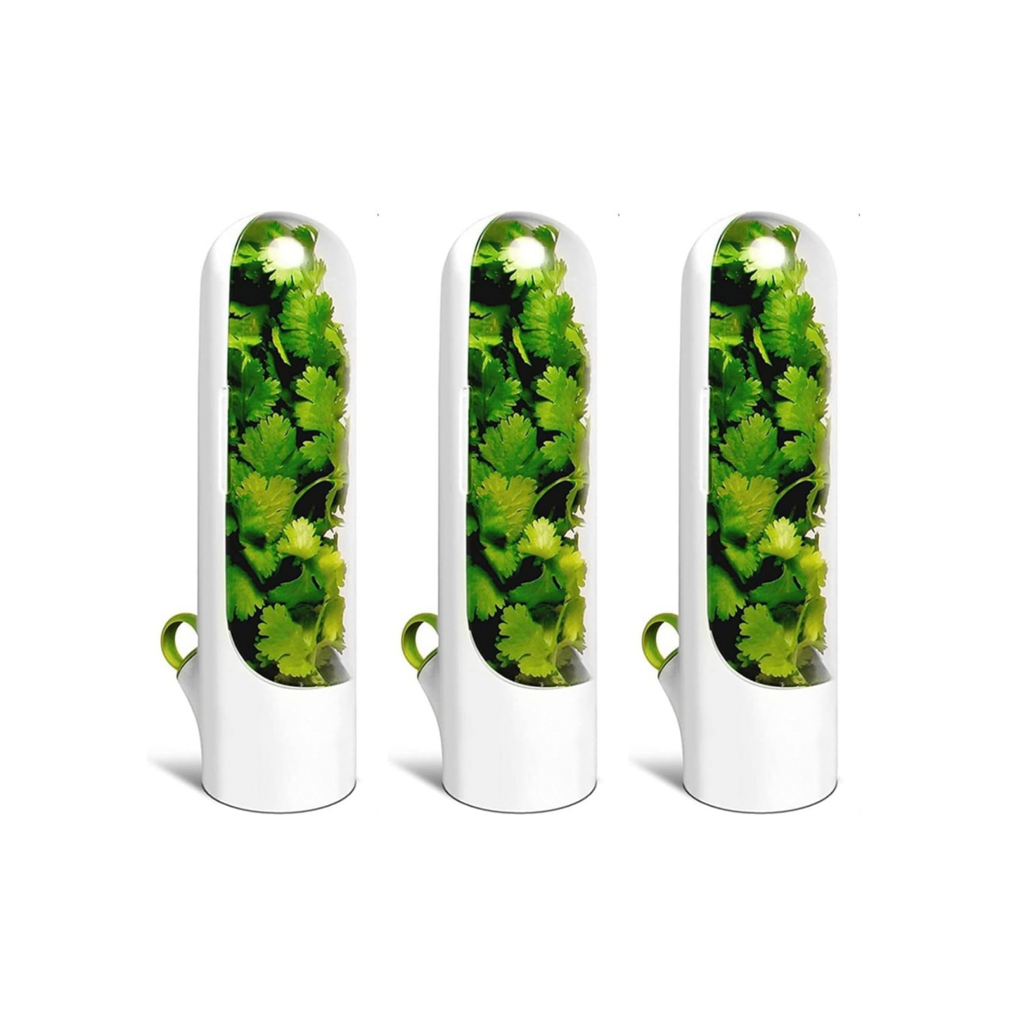Veggie Lock™ Herb Keeper Pod