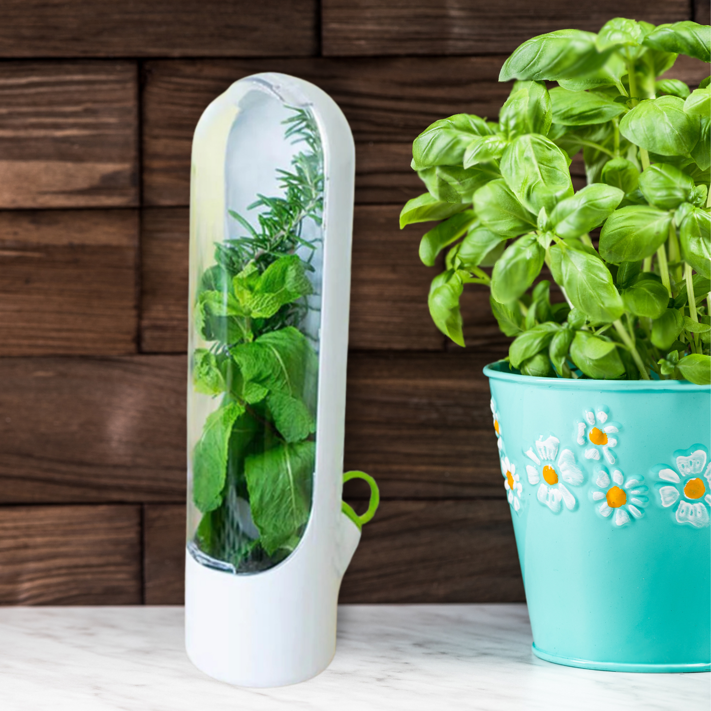 Veggie Lock™ Herb Keeper Pod